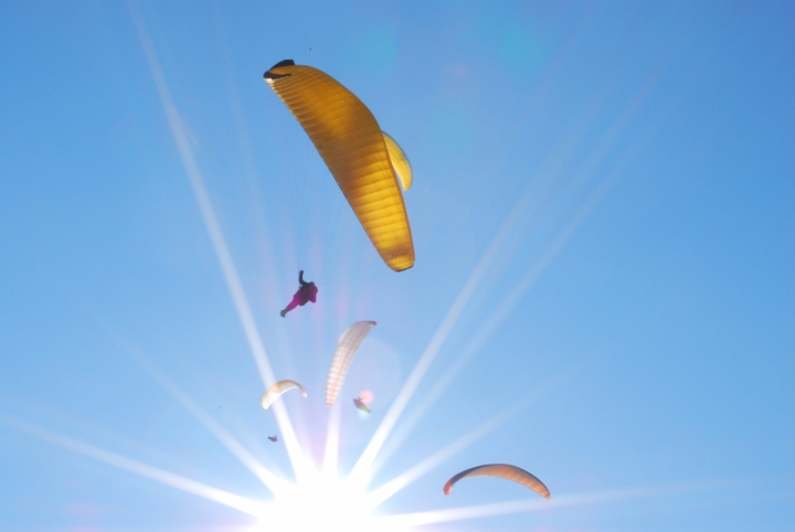 Volare:legame tra la terra e il cielo di stina08