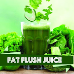 Fat Burning Juices Apk