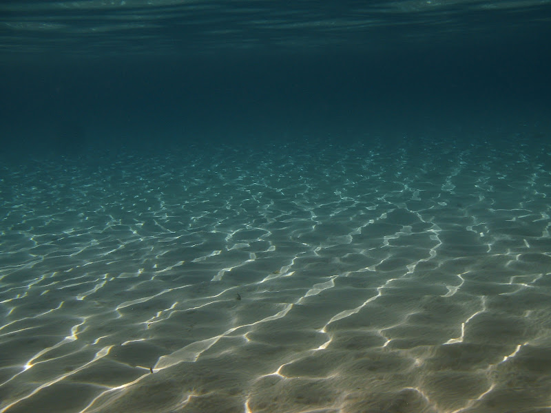 ..acqua…profonda… di stefanogaleotti