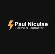 Paul Niculae - Nicolae Logo