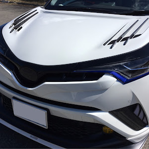 C-HR ZYX10