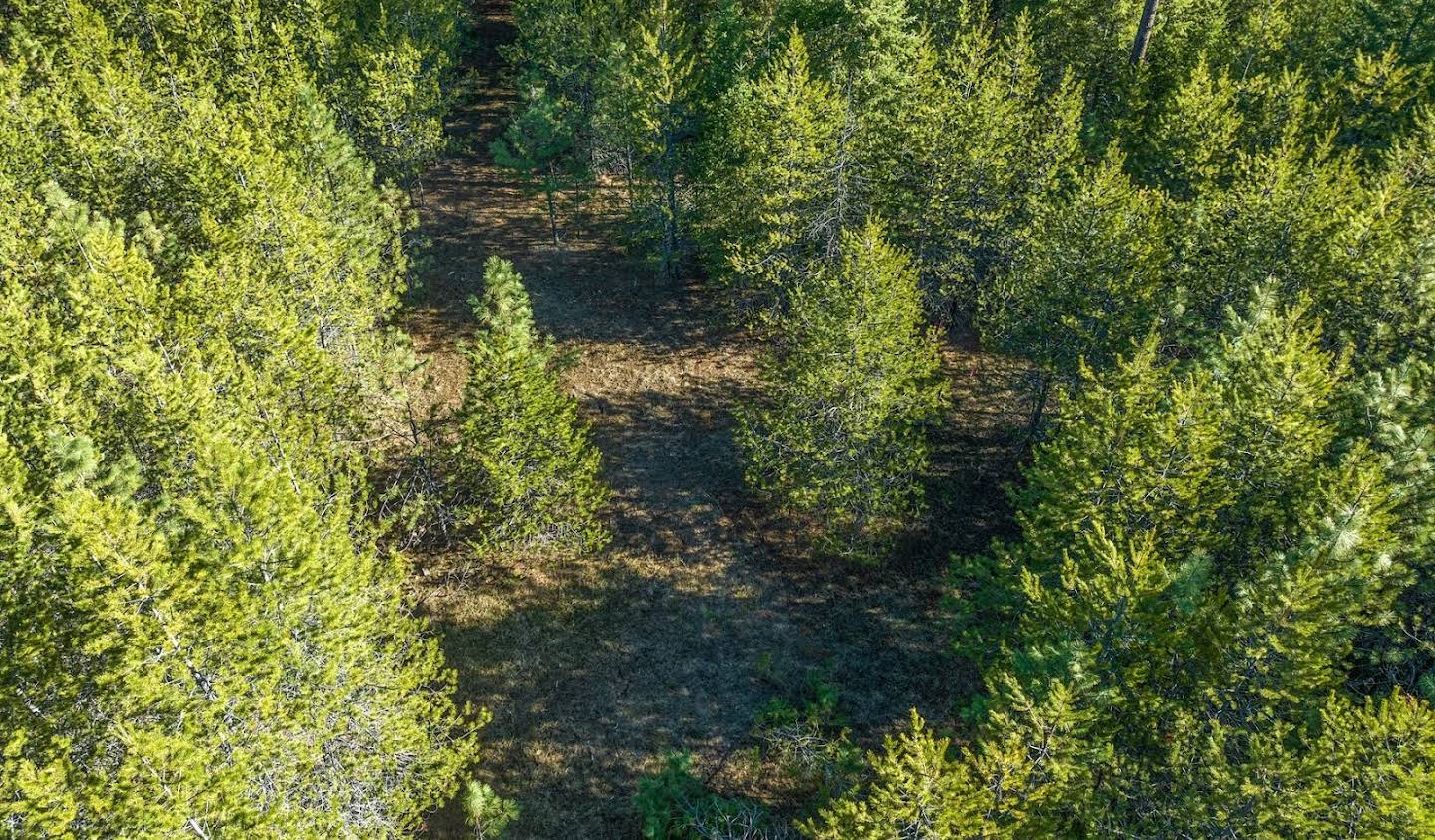 Terrain Spirit Lake