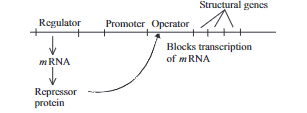 Solution Image