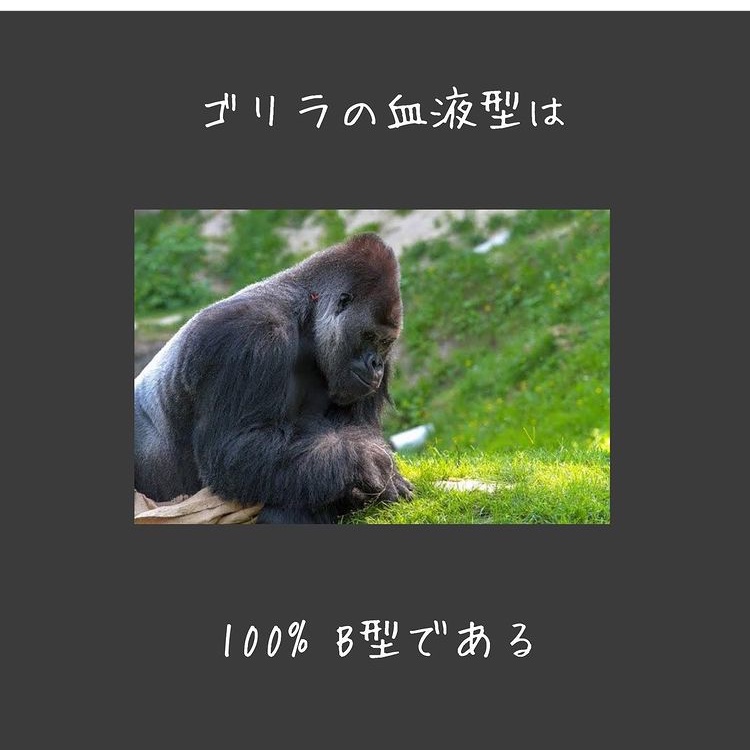 エルグランドの今日の雑学に関するカスタム事例の投稿画像6枚目