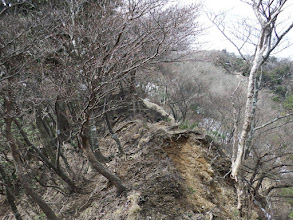 痩せ尾根を進む