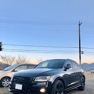 S Q5 8R型