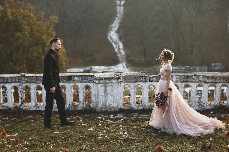 Fotógrafo de casamento Tatyana Demchenko (demchenkot). Foto de 23 de novembro 2016