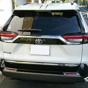 RAV4 MXAA54