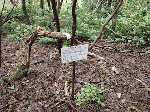 ここは一般登山道