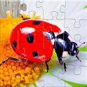 Insect Jigsaw Puzzle Game Kids icon
