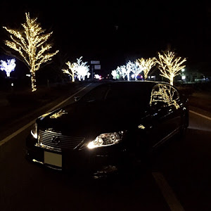 LS USF40