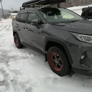 RAV4 AXAH54