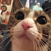みりん