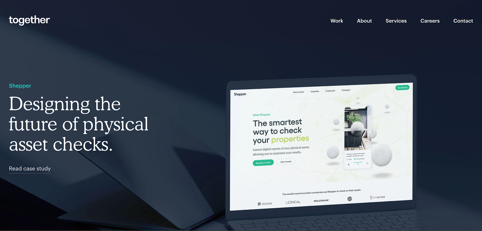 Web Developer Portfolio of together