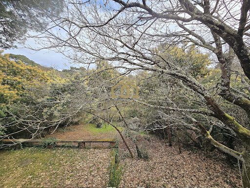 Land 3