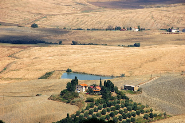 l'uomo e l'armonia dei campi di FLAVIO DI PERSIO