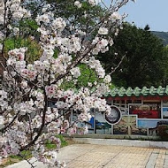 野菜屋拉麵