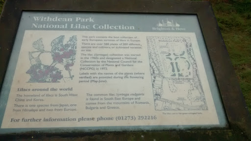 Withdean Park Information Board