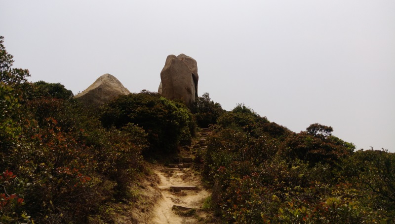 分流石筍