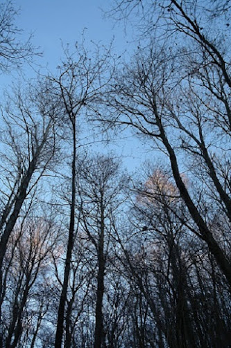 Verso l'azzurro di Fepon