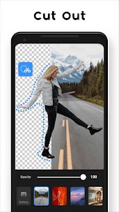 Photo Editor Pro v1.30.73 Full APK 3