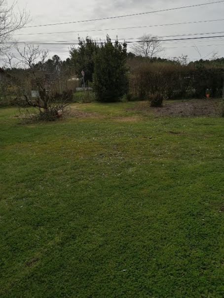 Vente terrain  450 m² à Le Porge (33680), 139 100 €