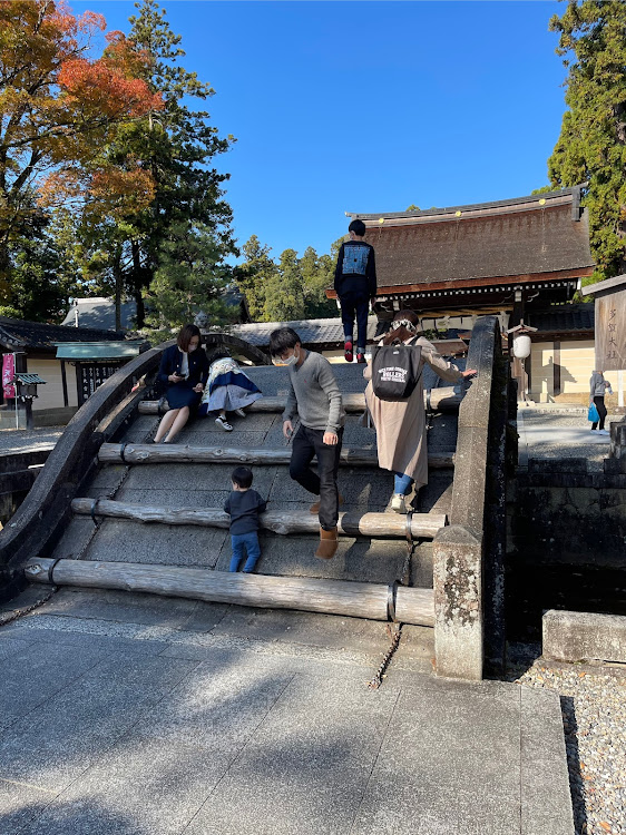 の投稿画像19枚目