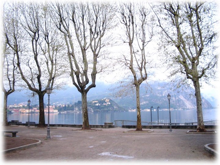 Nebbia a Lecco di Alessandra Savi