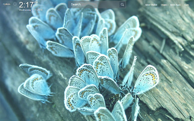 Blue FullHD New Tab Wallpapers