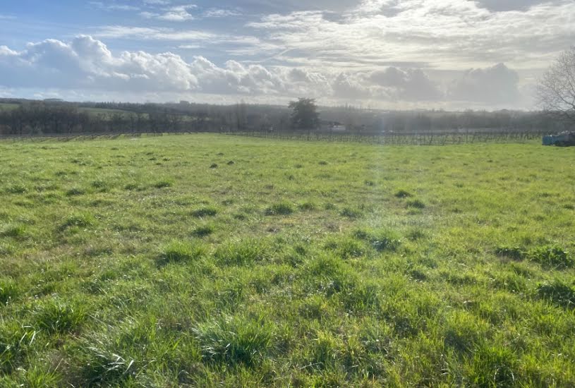  Vente Terrain à bâtir - 1 000m² à Pellegrue (33790) 