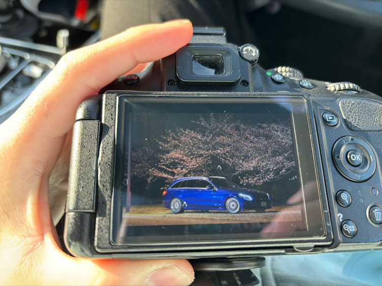 Cクラス ステーションワゴンの4月もよろしくお願い致します🌸・サクラと愛車・桜と愛車・桜シーズン開幕に関するカスタム事例の投稿画像4枚目