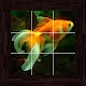 Download Underwater Puzzles - 100 Pictures For PC Windows and Mac 1.01