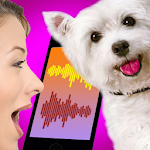 Cover Image of Télécharger Dog Translator Simulator 1.0 APK