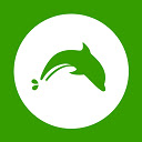 Dolphin Browser for PC version - New Tab BG Chrome extension download