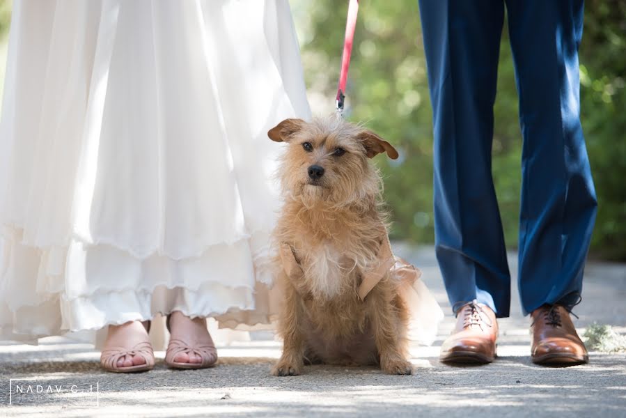 Photographe de mariage Nadav Cohen - Jonathan (nadavcohenjo). Photo du 7 décembre 2017