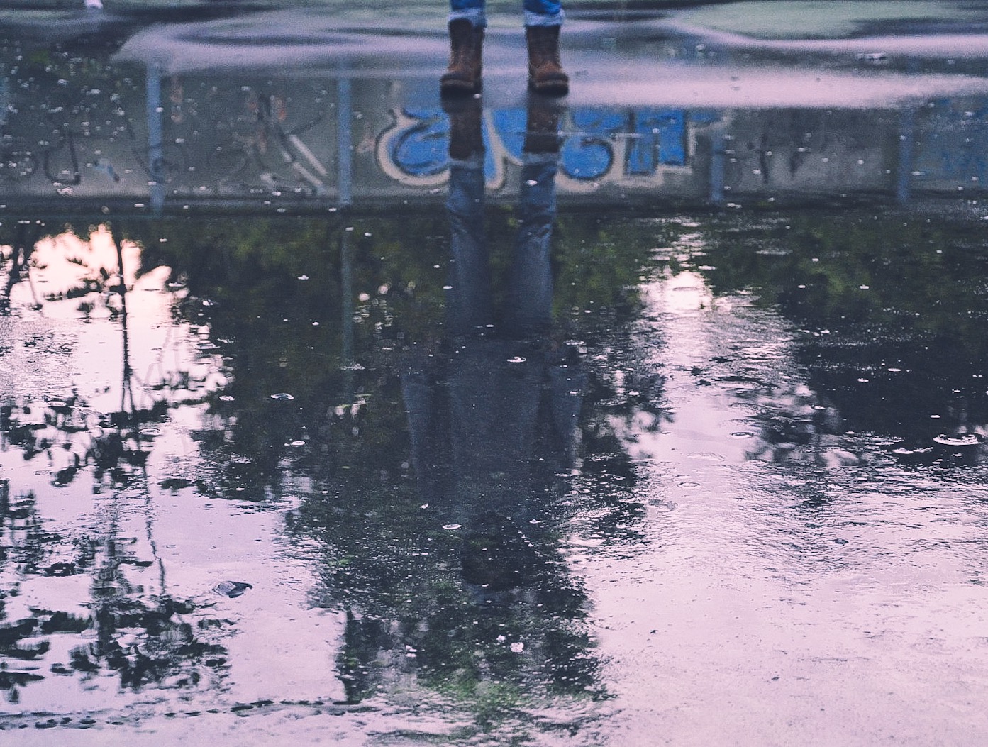 Riflesso dalla pioggia  di piggio