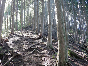 尾根沿いに進む