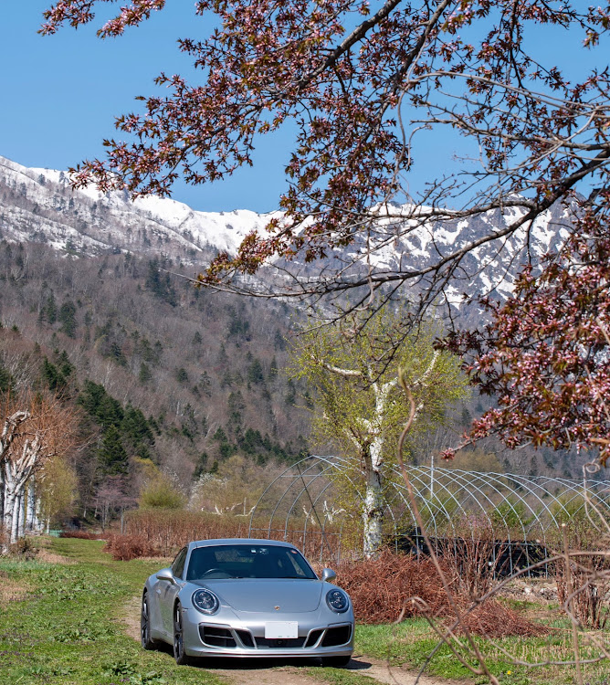 911 クーペのporsche911・北海道・一本桜・discover＿ctに関するカスタム事例の投稿画像2枚目