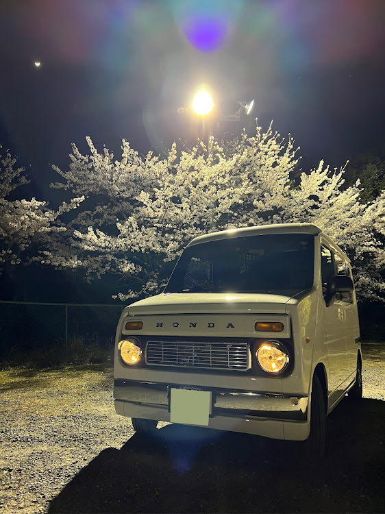 N-VANのN-VAN・ステップバン仕様・サクラと愛車・夜桜に関するカスタム事例の投稿画像1枚目