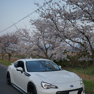 BRZ ZC6