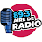 Aire de Radio 89.3 icon