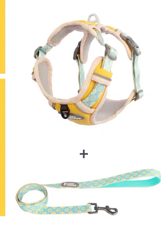 Title 3, Dog Chest Strap and Leash for Walks, Secure Fit...