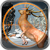 Deer Hunting Extreme Hunter 3D1.02