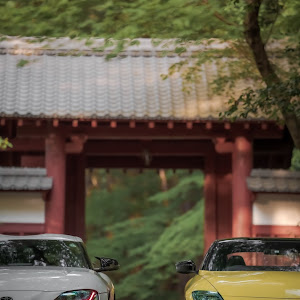 フェアレディZ RZ34