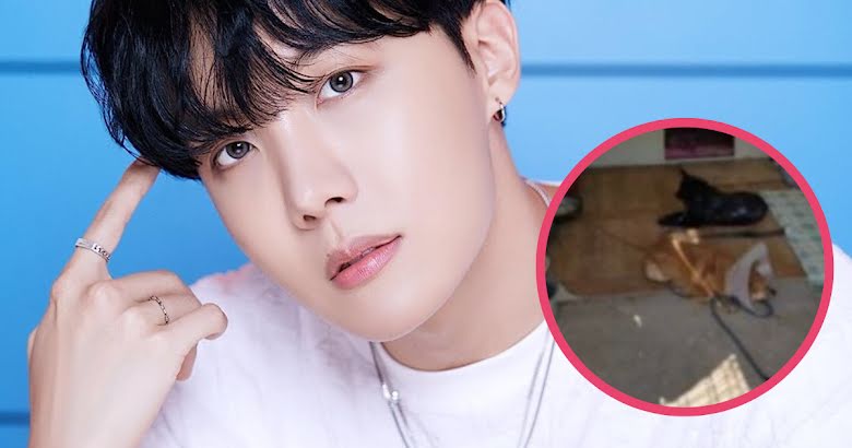 ARMYs Shocked by BTS J-Hope's Expensive Attire — Here's How People