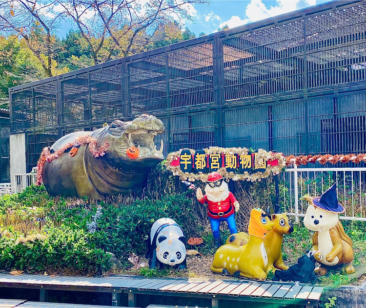 コルトラリーアートバージョンRのいつもイイね＆コメントありがとうございます😆・宇都宮動物園・小麦館 ケンジ・ディスカウントドラックコスモス・おやすみなさいませ☆に関するカスタム事例の投稿画像3枚目