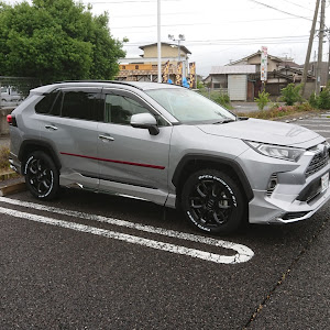 RAV4 MXAA54