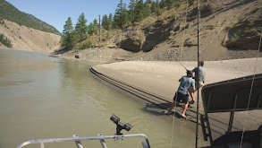 Canadian Sturgeon thumbnail