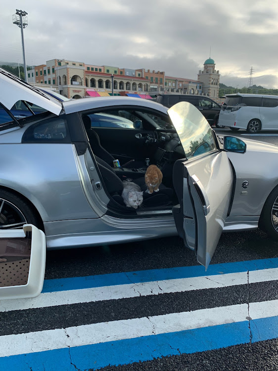 フェアレディZの愛車と愛猫・駿河湾沼津SA・人気者に関するカスタム事例の投稿画像1枚目