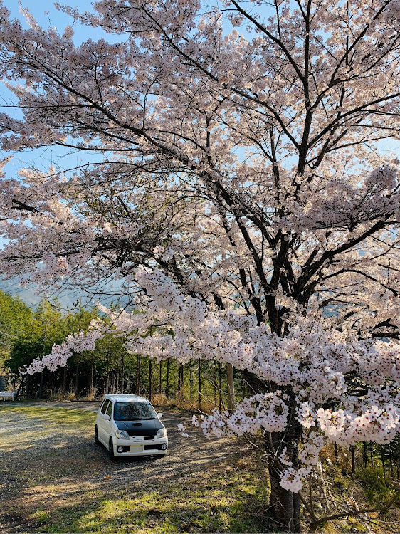 の投稿画像1枚目